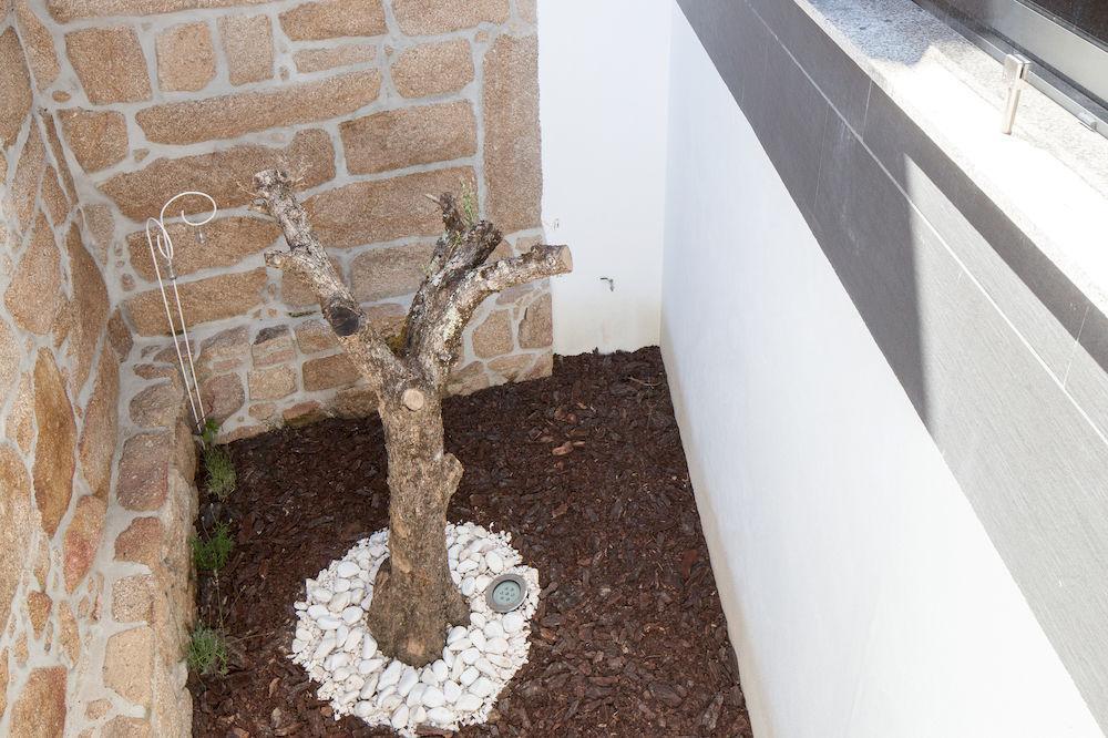 Casas Do Patio Country Houses & Nature Caldas da Felgueira Екстериор снимка