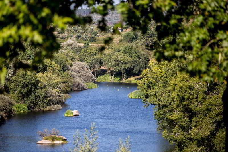 Casas Do Patio Country Houses & Nature Caldas da Felgueira Екстериор снимка